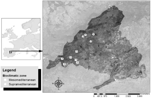 Fig. 1. Geographical localization of the subpopulations where the Cabrera voles were taken for the study
