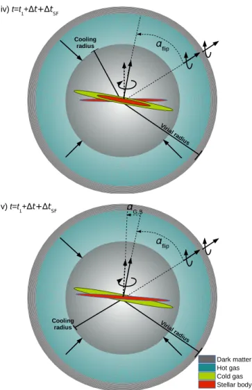 Figure 2. Continuation of Fig. 1. In panel (iv) we show that the cold gas disk has been flipped due to the recent gas accretion