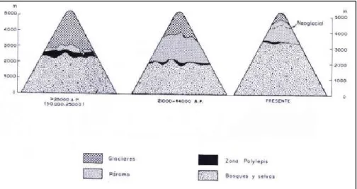 Figura 2. Distribución altitudinal de los páramos en los últimos 50.000 años (fuente: Van  der Hammen, 1992