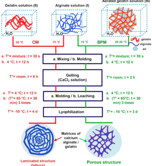 Fig. 1 – Scheme of preparation procedure for control matrix (CM) and biopolymeric porous matrix (BPM)