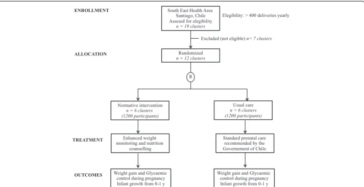 Fig. 1 Flow chart for cluster randomized controlled trial comparing a normative nutrition intervention for pregnant women in public health care centers with usual care