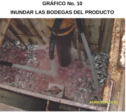 GRÁFICO No. 10