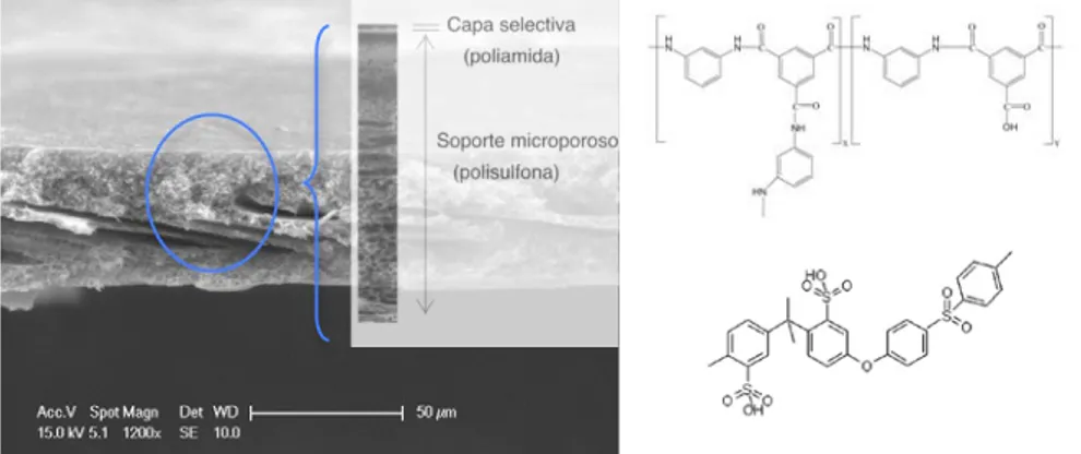 Figura 2. Izq.) IMAGEN SEM de la sección trasversal de una membrana comercial (usada) de ósmosis  inversa