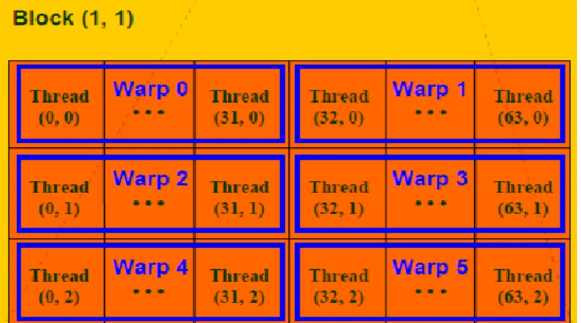 Figura 12. Los warps dentro de un bloque 