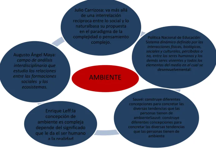 Figura No. 4 Diferentes Conceptos de Ambiente  