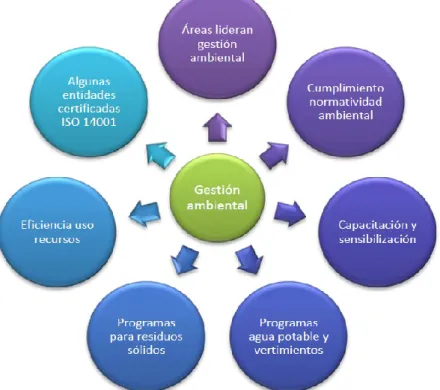 Figura 3. Principales programas de carácter ambiental que se propone trabajar el sector