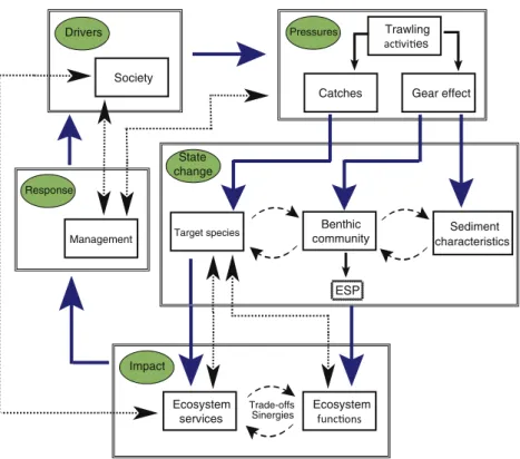 Fig. 4. DPSIR framework adapted to the trawling ﬁsheries context. Each double-lined box corresponds to one of the DPSIR elements which may include one or several ecosystem/society components (small boxes inside)