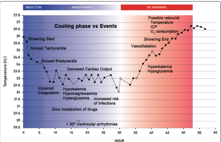 Figure 1 Physiological changes during hypothermia. Severe specific events may occur during the three phases of hypothermia procedure