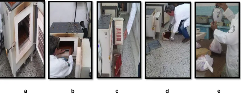 Figura  2.3.  Proceso  de  calcinación  de  las  arcillas.  a.  Mufla  de  laboratorio,  b