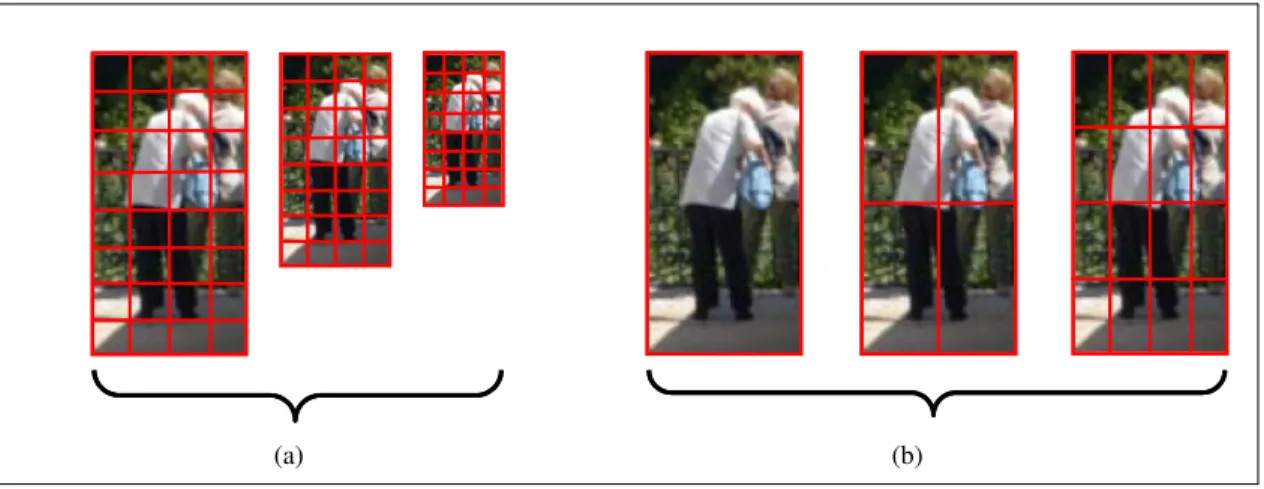 Figure 2.2. Examples of methods for sampling images. (a) Multi-scale pyramid decompo- decompo-sition sampling strategy: the image is downsampled and smoothed at every level and then sampled at smaller subregions