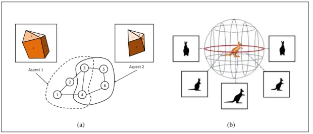Figure 2.3. Examples of an aspect-graph. (a) Two views or aspects of a polyhedral object.