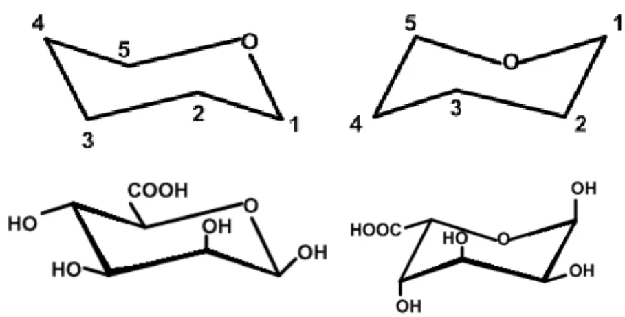 Figure 1.2.  Chair conformations of the alginate monomers. Above: monomers are  epimers and only differ at C 5 