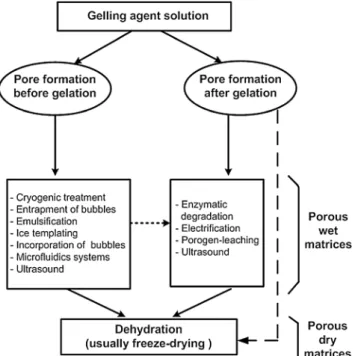 Fig. 2 Classification criteria for techniques used in manufacturing porous gel matrices reported in the literature