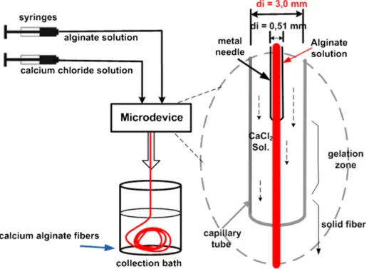 Fig. 1. Sketch of the experimental setup for generating calcium alginate ﬁbers.