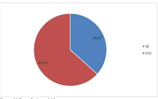 Figura 11 Entendimiento del logo  Fuente: Encuestas 