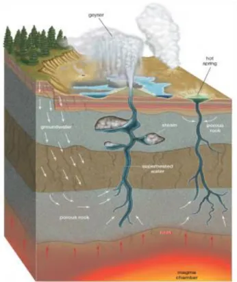 Figure  3.  Cross  section  of  hot  spring  origin; geyser and hot spring. In geysers  and  fumaroles  the  superheated  water  collects  in  underground  pockets