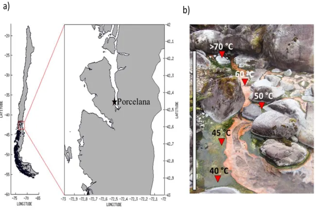 Figure  11.  Field  sampling  study:  a)  Porcelana  hot  spring  geographical  location;  and  b)  Pigmented microbial mat along the thermophilic gradient in Porcelana