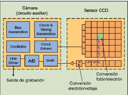 Figura 1: Esquema Sensor CCD 