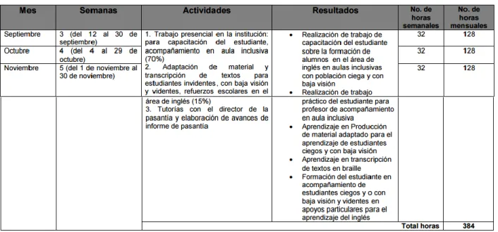 Tabla 1. Distribución de la pasantía 