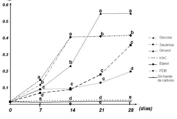Figura 6. Crecimiento de  M. fijiensis en diferentes fuentes de carbono durante 28 días en  medios de cultivo líquido en agitación