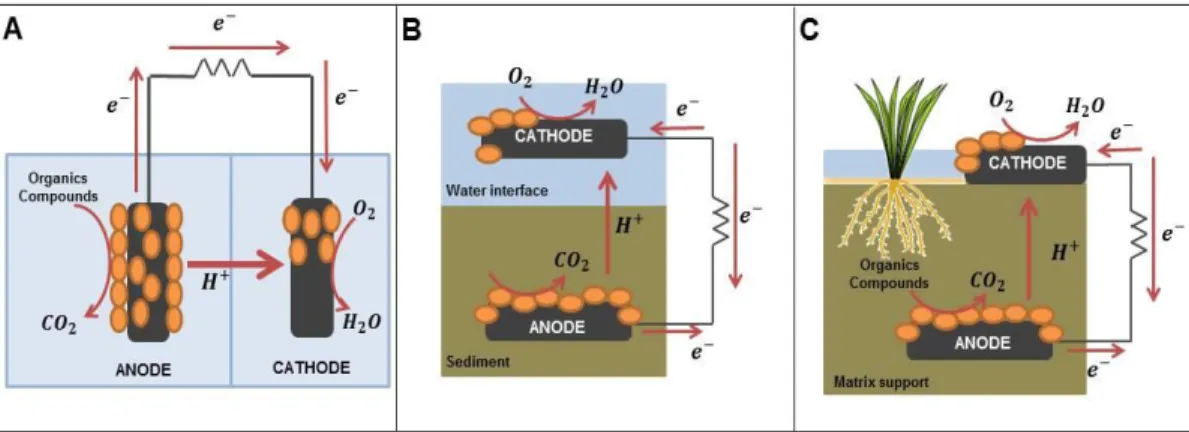 Figure 1-1: Diagram of each type of bioelectrochemical system. A: Microbial  Fuel Cell