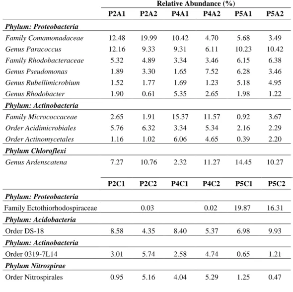 Table 2-3: Relative abundances of the main bacterial taxonomic groups at  genus or higher taxa levels in the samples of the upper (A1, A2) and lower  (C1,C2) electrodes of the three Sedum species: S