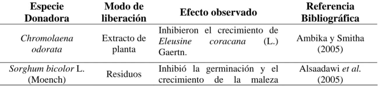 Tabla 3. Especies de plantas con actividad fitotóxica sobre malezas  Especie 