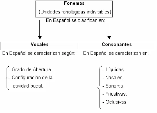 Figura 1.3 Concepto fonológico: el fonema. 