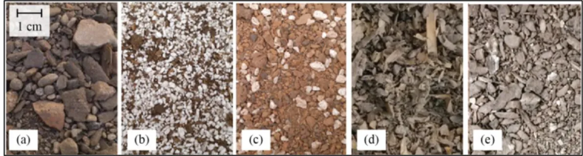 Figure 2-1:Substrates used in this study: (a) substrate S1; (b) substrate S2; (c)  substrate S3; (d) substrate S4; and (e) substrate S5