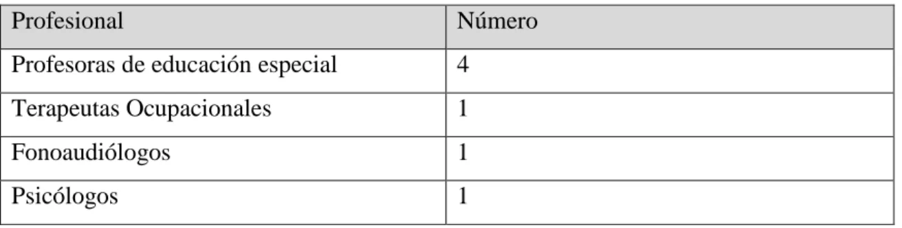 Tabla 3 Tipo y número de profesionales que trabajan en el proyecto 