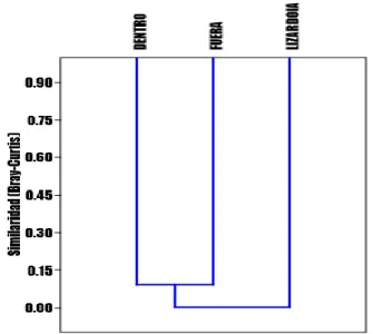 Figura 9: Similaridad de comunidades de hongos micorrícicos. Bray-Curtis.  (Elaboración propia) 