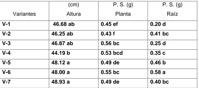 Tabla 8.   Efecto de las variantes de compost sobre los indicadores morfofisiológicos  de las plantas en un suelo Ferralítico Rojo Compactado