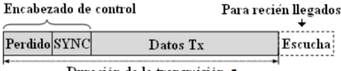 Figura 2.11: Estructura del paquete de datos. 
