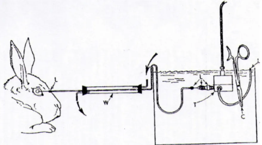 Fig 9: Diagrama general del manómetro y los tubos utilizados en el experimento de Hedbys  et al