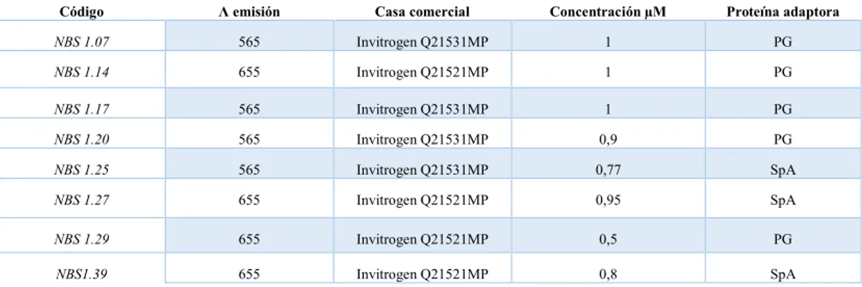 Tabla 1.- Descripción de los bioconjugados QD-PG y QD-SpA sintetizados. 