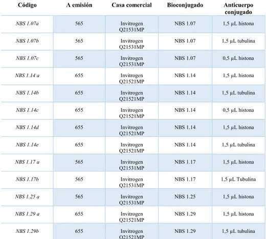 Tabla 2.- Descripción de las sondas QD-PG-Ab y QD-PG-Ab sintetizadas.  Síntesis de bioconjugados covalentes QD-Ab 