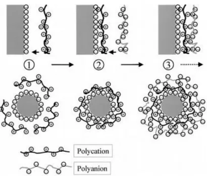 Figura 9.- Nanopartículas elaboradas mediante la tecnología layer by layer deposition