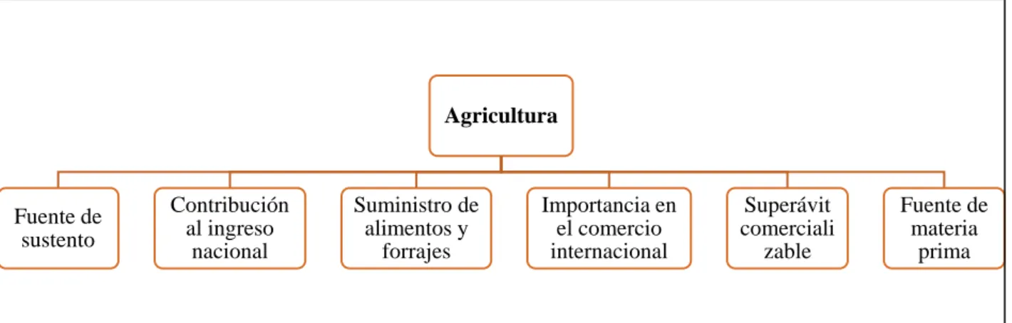 Figura 1. Agricultura 