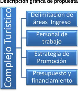 Gráfico 11 