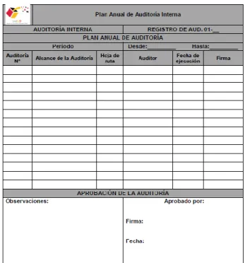Figura 5. REF. PROC 14. Formato Plan Anual de Auditorías Internas. 25