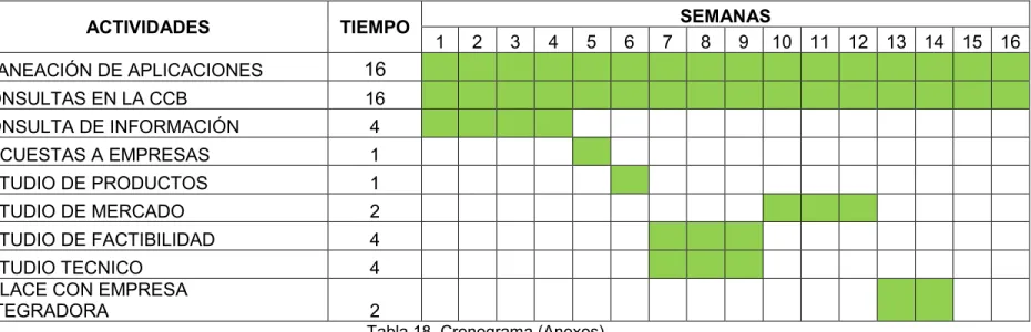 Tabla 18. Cronograma (Anexos) 