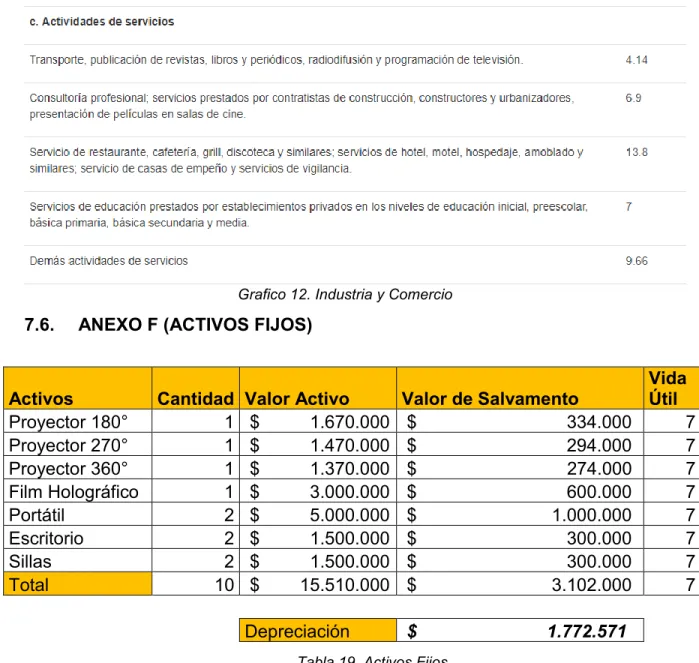 Tabla 19. Activos Fijos