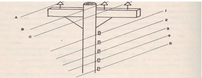 Figura 1.2: Disposición de los circuitos primarios y secundarios: A, B C: Circuito primario  2.4/4.16 kV o 7.6/13.2 kV