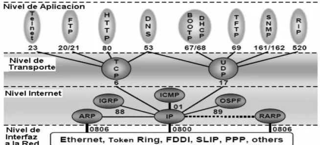 Fig. 1.1 Conjunto de protocolos TCP\IP     1.1.2 TCP (Transmission Control Protocol). 