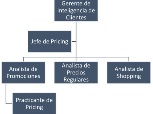 Gráfico 2 Jerarquía de Área de Pricing 