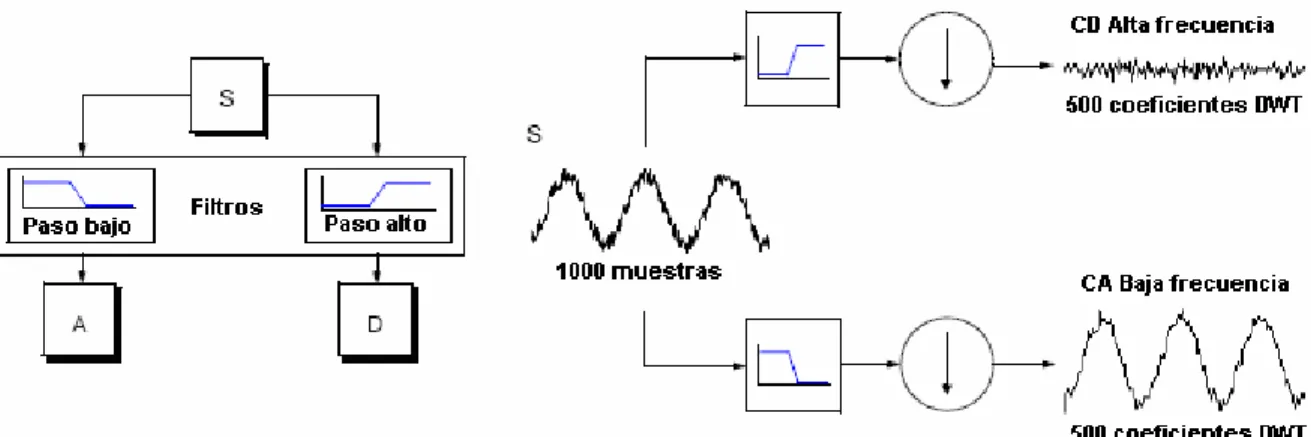 Figura II.3.2 a y b. Proceso de filtrado para la obtención de los coeficientes wavelets, A y  D, de una señal S