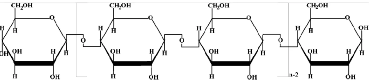 Figura 1.1. Estructura de la celulosa.