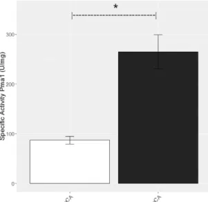 Figure 2.  Pma1p specific activity during lag phase in B. bruxellensis LAMAP2480 grown in triplicates  for control media (open column) and treatment media (p-coumaric acid at 100 mg/L) (black column)