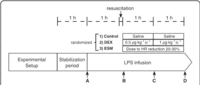 Fig. 1 General scheme of the protocol. Complete hemodynamic, respiratory, and systemic and regional perfusion measurements were performed at points A, B, C, and D, except for lactate clearance that was performed at point D