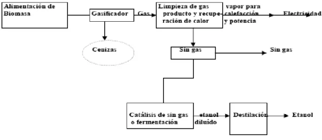 Figura 1.5- Trayectoria termoquímica para producción de gas, energía y etanol